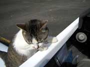 Pas mal l'int&eacute;rieur !