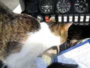 J'embarque &agrave; bord !