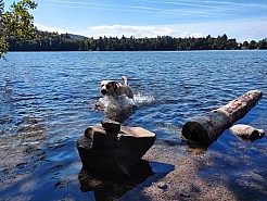 1-Gour de Tazenat.jpg