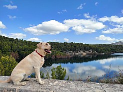 4-Barrage de  Bimont -2.jpg