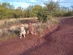 6-Rando autour du Salagou.jpg