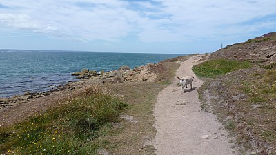 cotentin_02.jpg