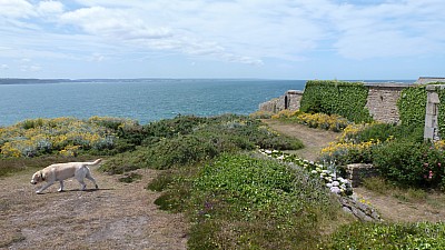 cotentin_03.jpg