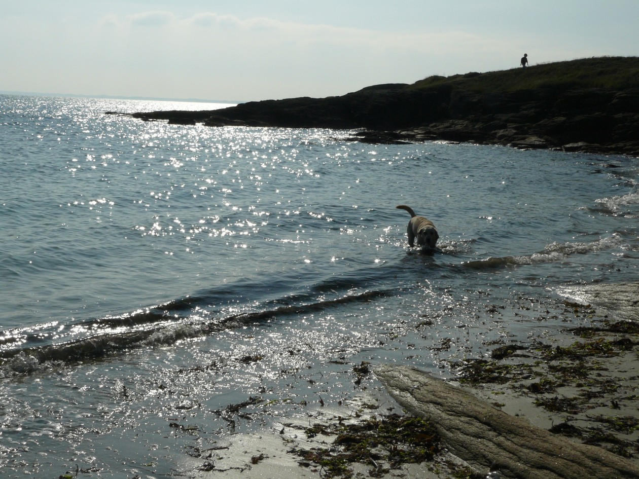 quiberon_04.jpg