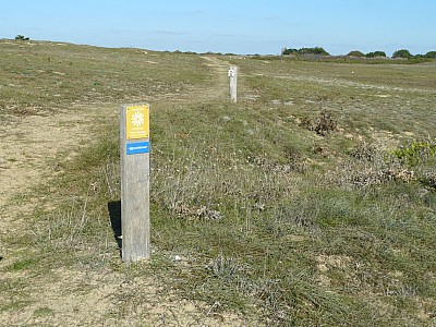 quiberon_12.jpg