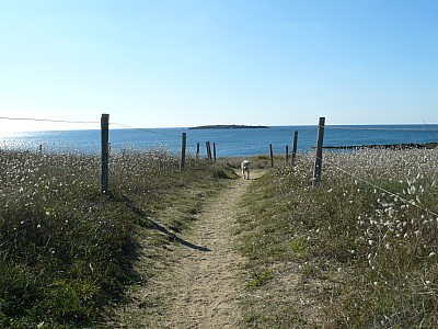 quiberon_13.jpg