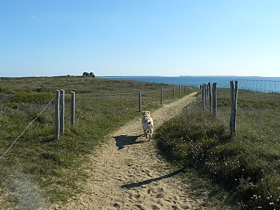 quiberon_20.jpg